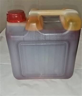 10 Liters Premium Palm Oil