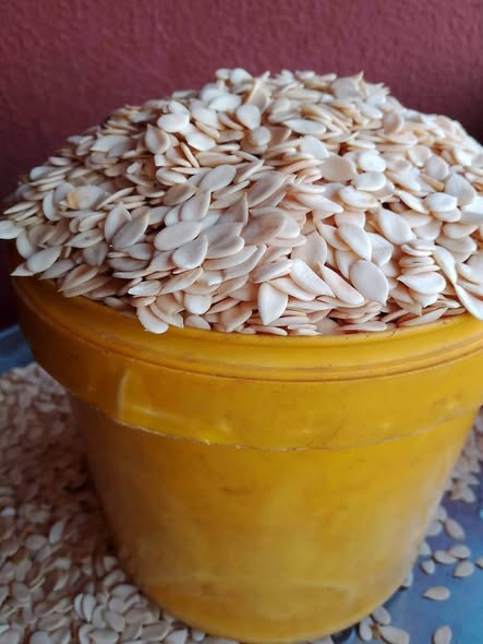 Premium Egusi – Clean, Fresh & Ready to Cook